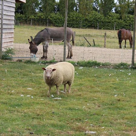 Gite En Campagne Isatis Landemont Dış mekan fotoğraf